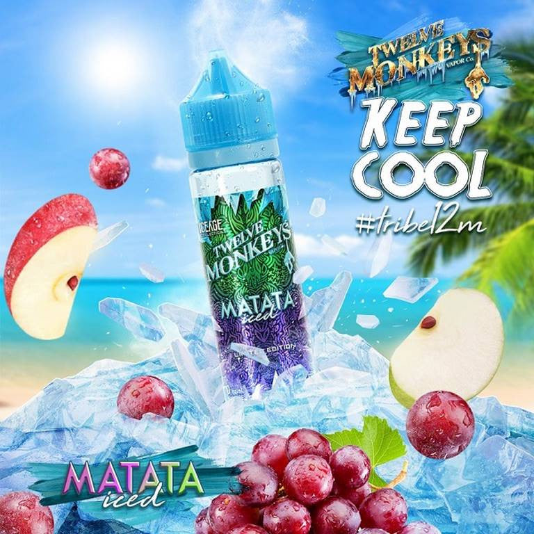 TWELVE MONKEYS ICE AGE - MATATA ICED 50ml