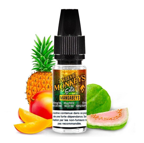 TWELVE MONKEYS - MANGABEYS SEL DE NICOTINE 10ML